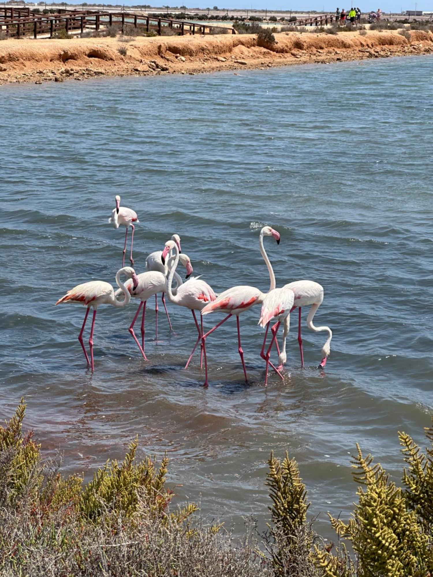 Mar Menor Paradise By Los Pinos Holidays San Pedro del Pinatar Kültér fotó